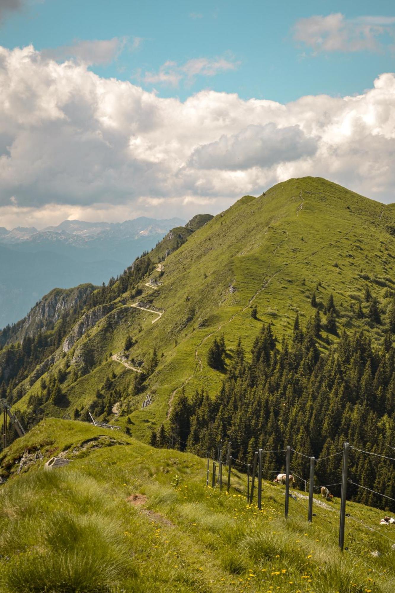 Guesthouse Lajnar Zgornja Sorica Buitenkant foto